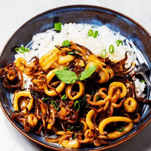 Stir-Fried-Squid-with-Basil-Leaves-on-Rice - ThaiMantra Pattaya Stir-Fried-Squid-with-Basil-Leaves-on-Rice